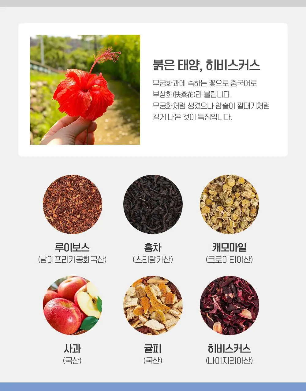쌍계명차 과일허그티캔 5종(청귤 자스민, 레몬 캐모마일, 자몽 블랙티, 오렌지 루이보스, 사과 히비스커스) 택1 상세페이지 13