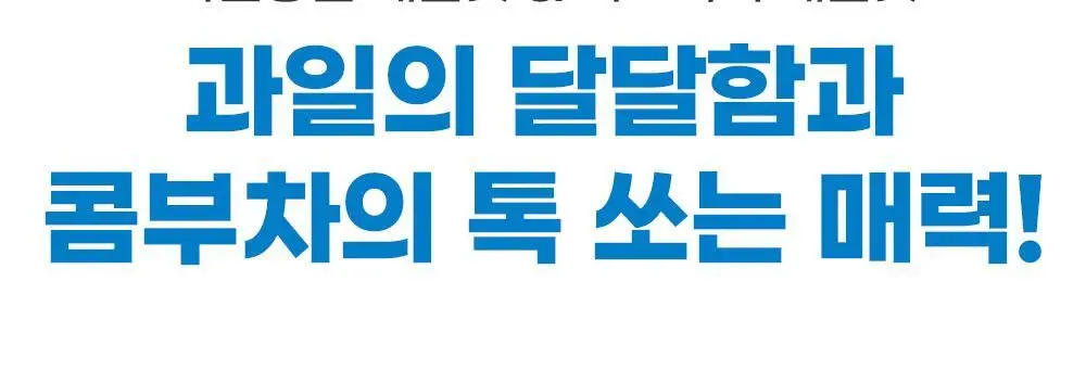 쌍계명차 콤부차 30스틱 (레몬/자두) 상세페이지 12