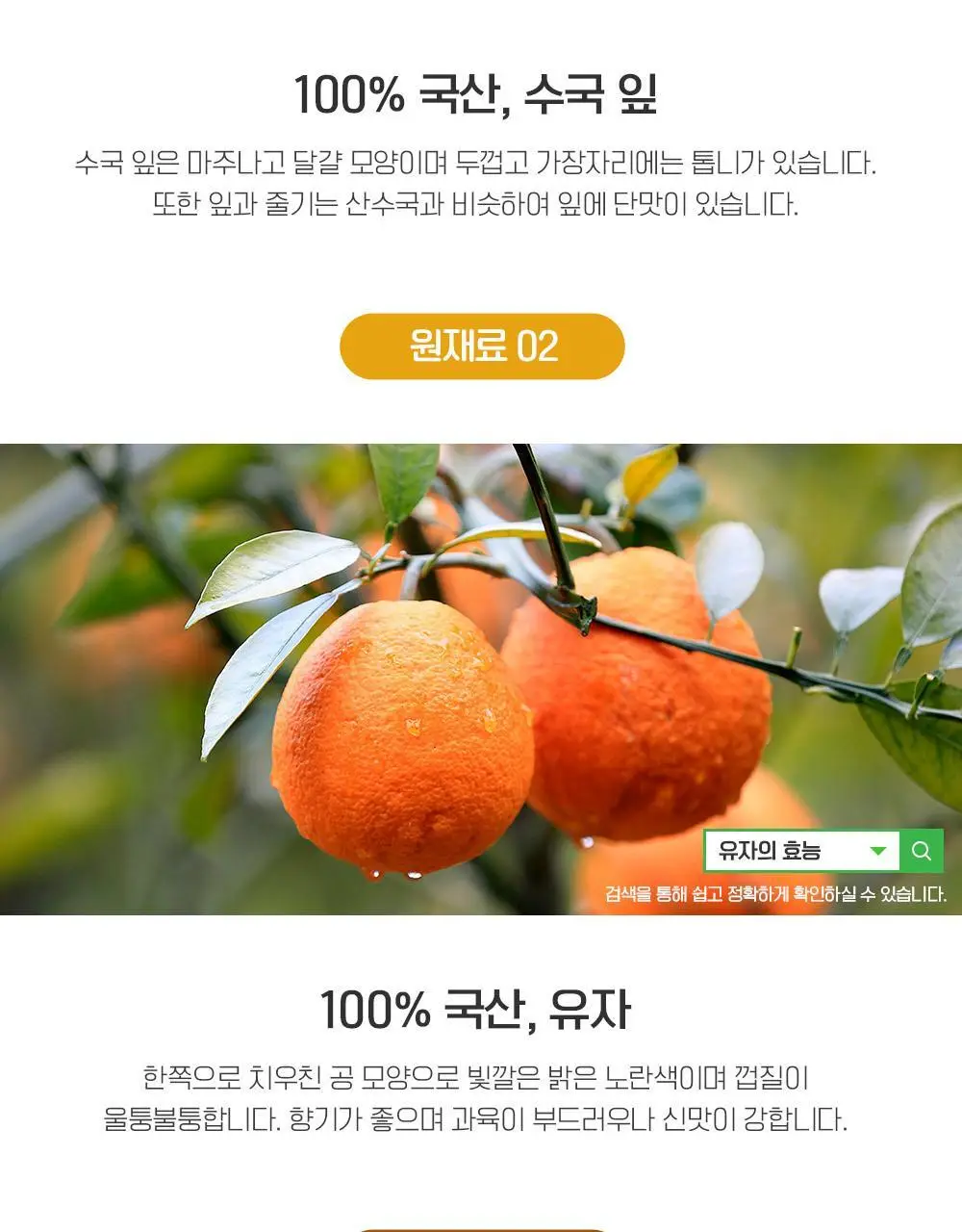 쌍계명차 티마스터캔 12티백 3종 중 선택 상세페이지 18