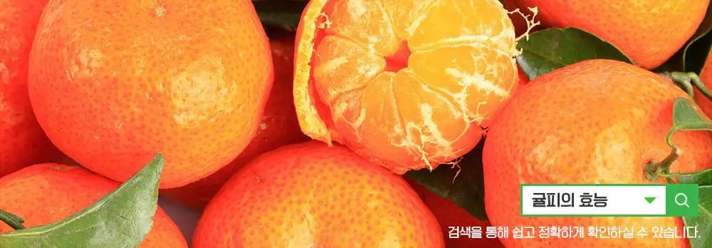 쌍계명차 티마스터캔 12티백 3종 중 선택 상세페이지 26
