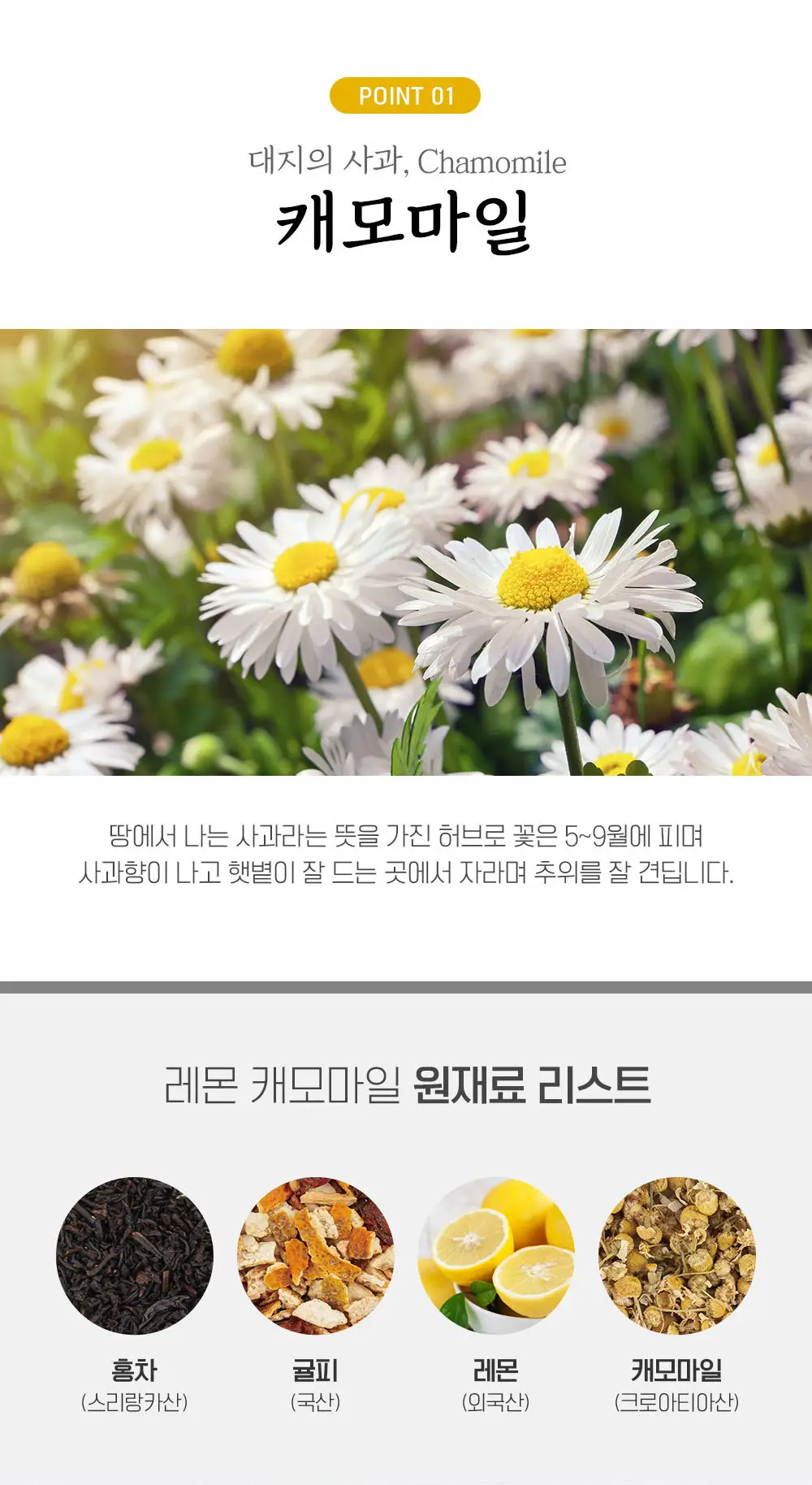 쌍계명차 프루트 허그 파우치 20티백 6종 선택 상세페이지 4