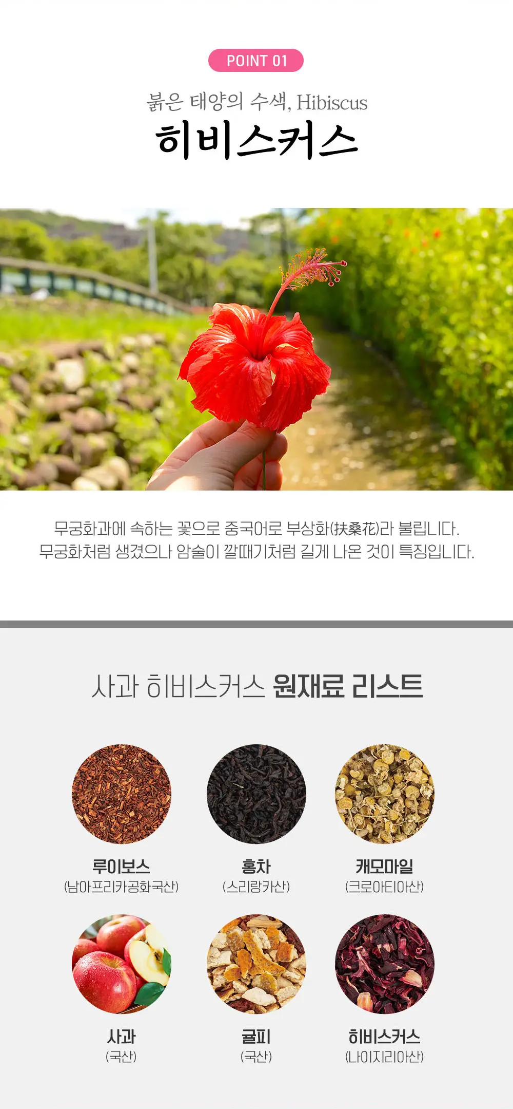 쌍계명차 프루트 허그 파우치 20티백 6종 선택 상세페이지 12