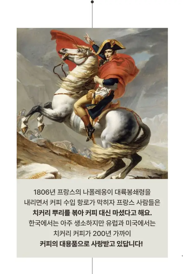아임낫커피 헤이즐넛 in 가배 25ml 10개입 상세페이지 83