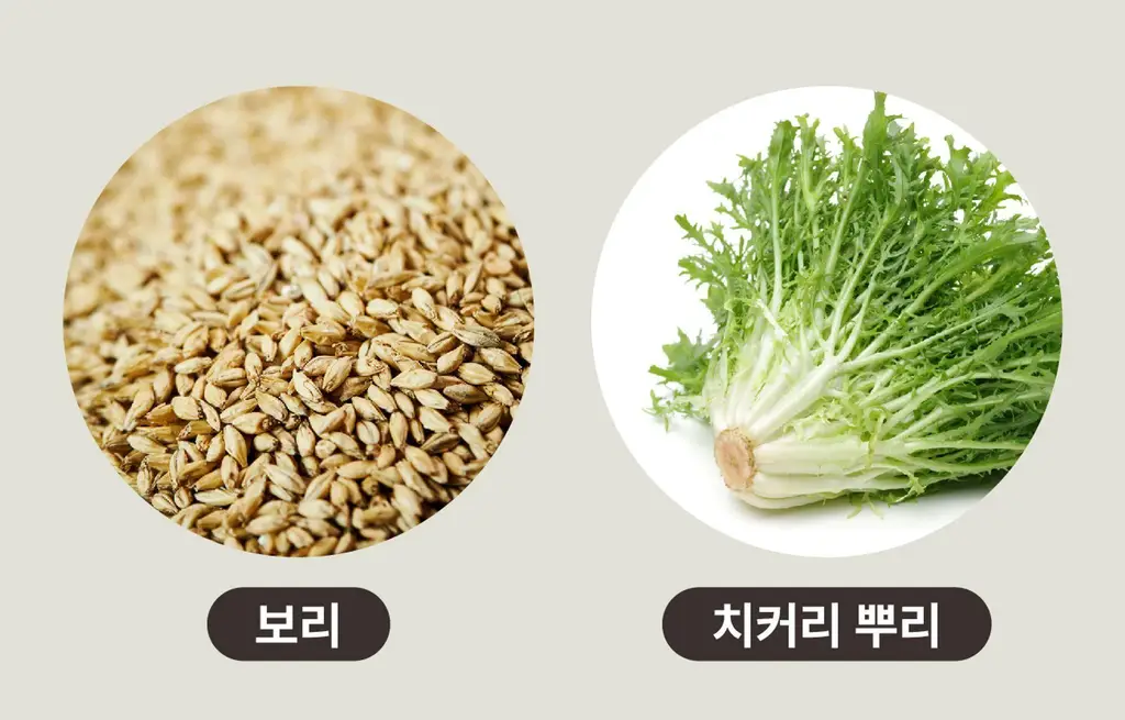 아임낫커피 헤이즐넛 in 가배 25ml 5개입 상세페이지 80