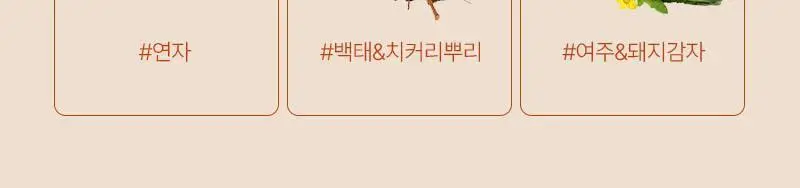 오다다 슈가컷피티 24개입 상세페이지 46