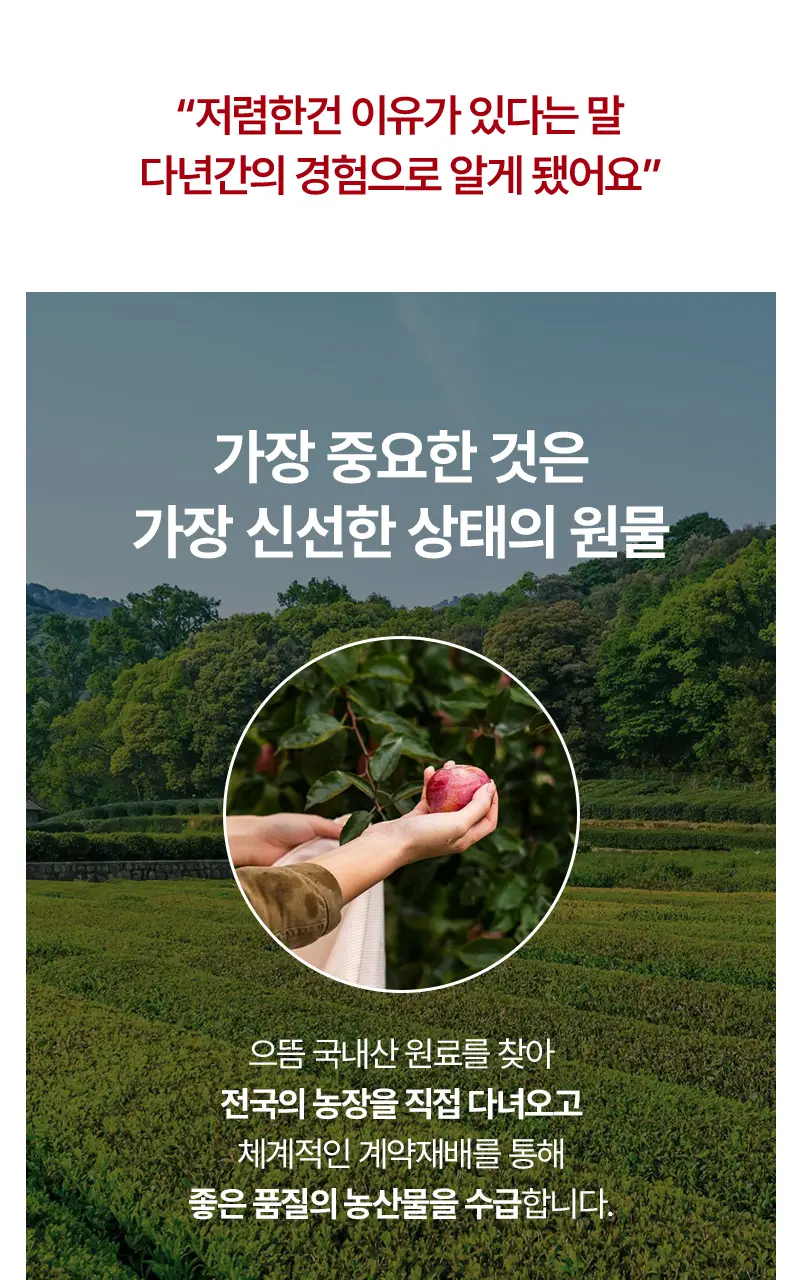 오다다 슈가컷피티 24개입 상세페이지 70
