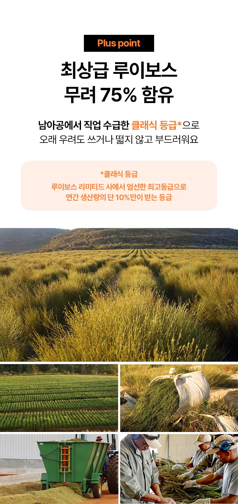 오다다 스윗오렌지티 24개입 상세페이지 32