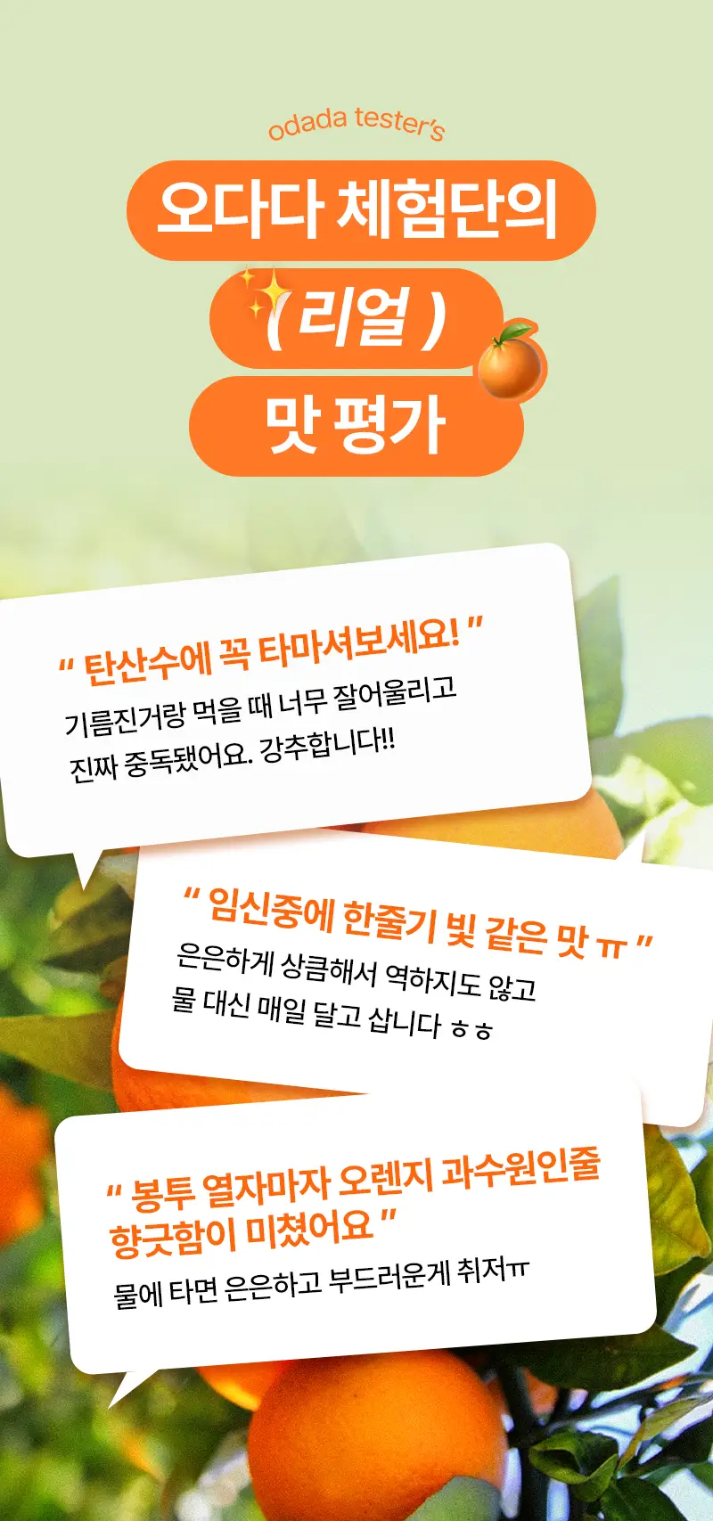 오다다 스윗오렌지티 24개입 상세페이지 39