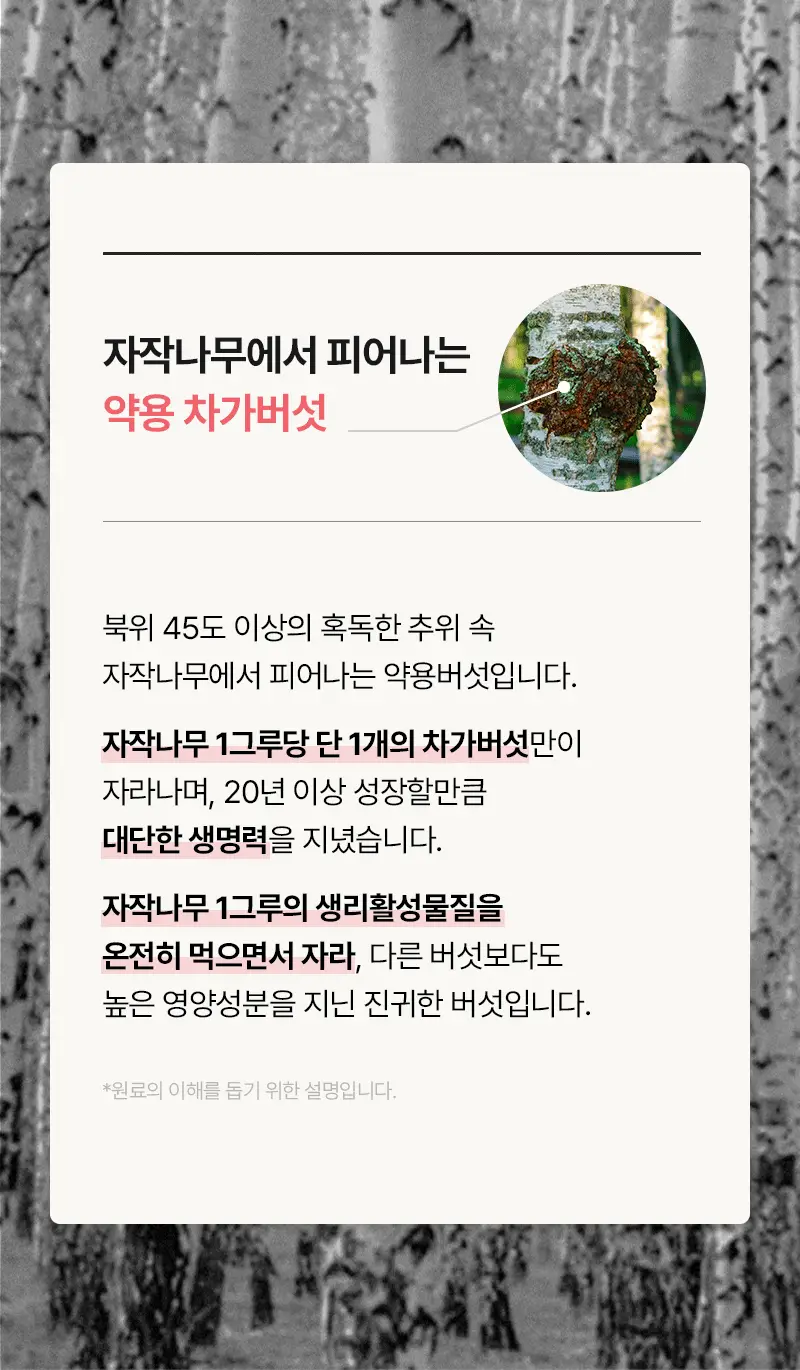 오다다 이너케어 티 습관관리세트 3SET 상세페이지 22