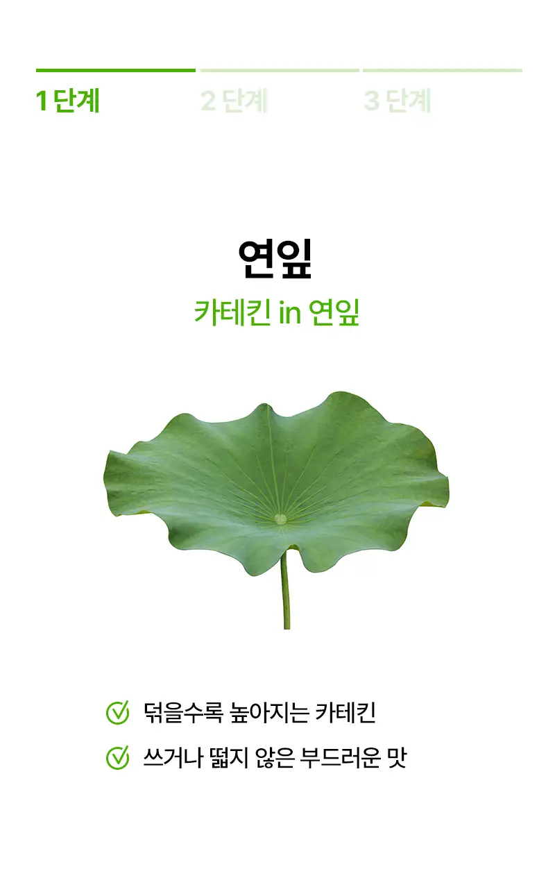오다다 카테퀸티 24개입 상세페이지 47
