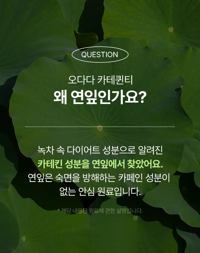 오다다 카테퀸티 24개입 상세페이지 48