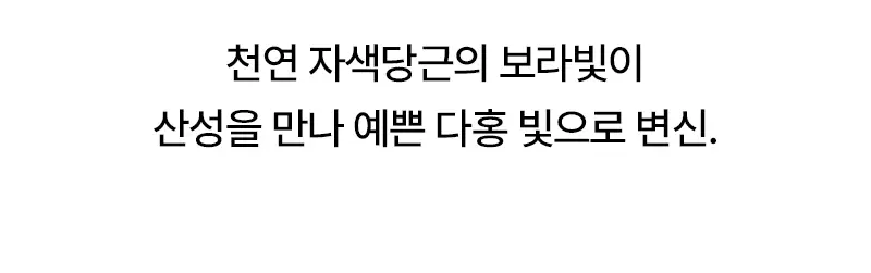 오다다 퍼플문티 24개입 상세페이지 12