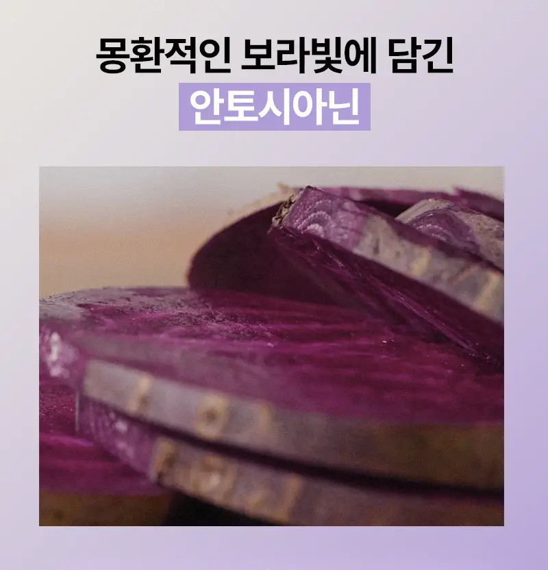 오다다 퍼플문티 24개입 상세페이지 39