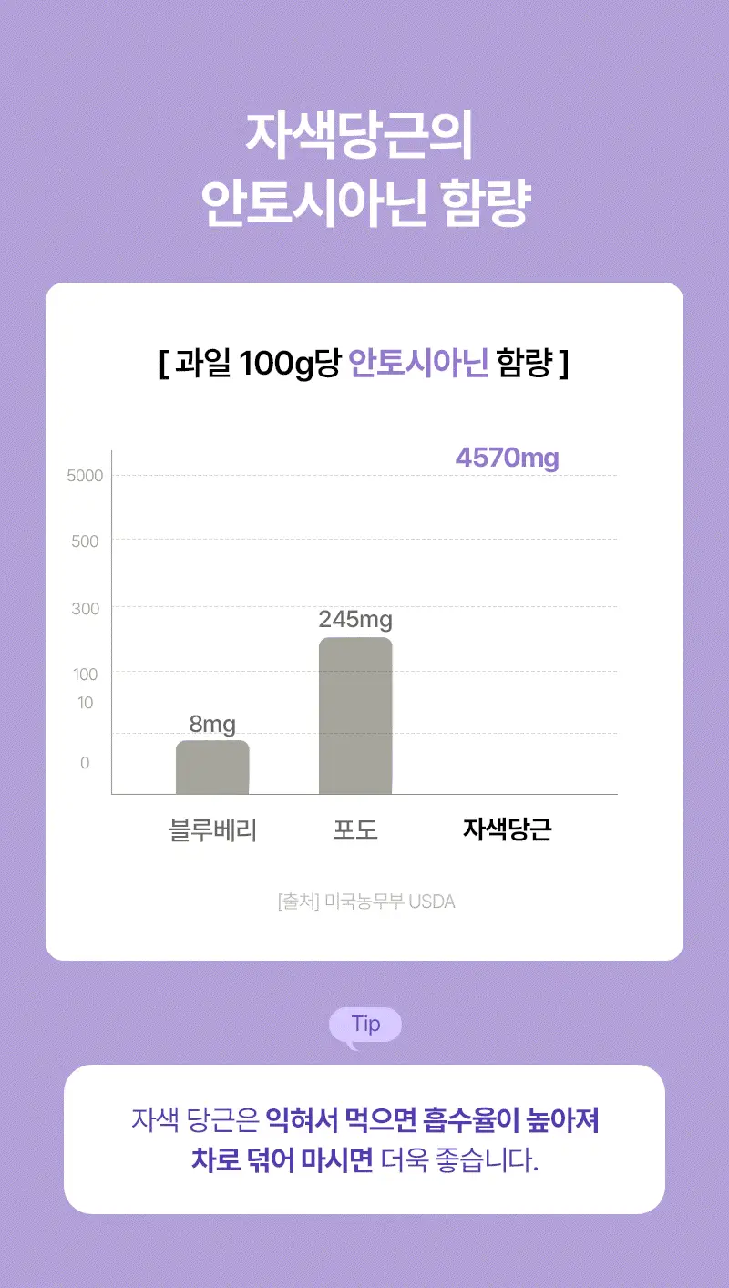 오다다 퍼플문티 24개입 상세페이지 40