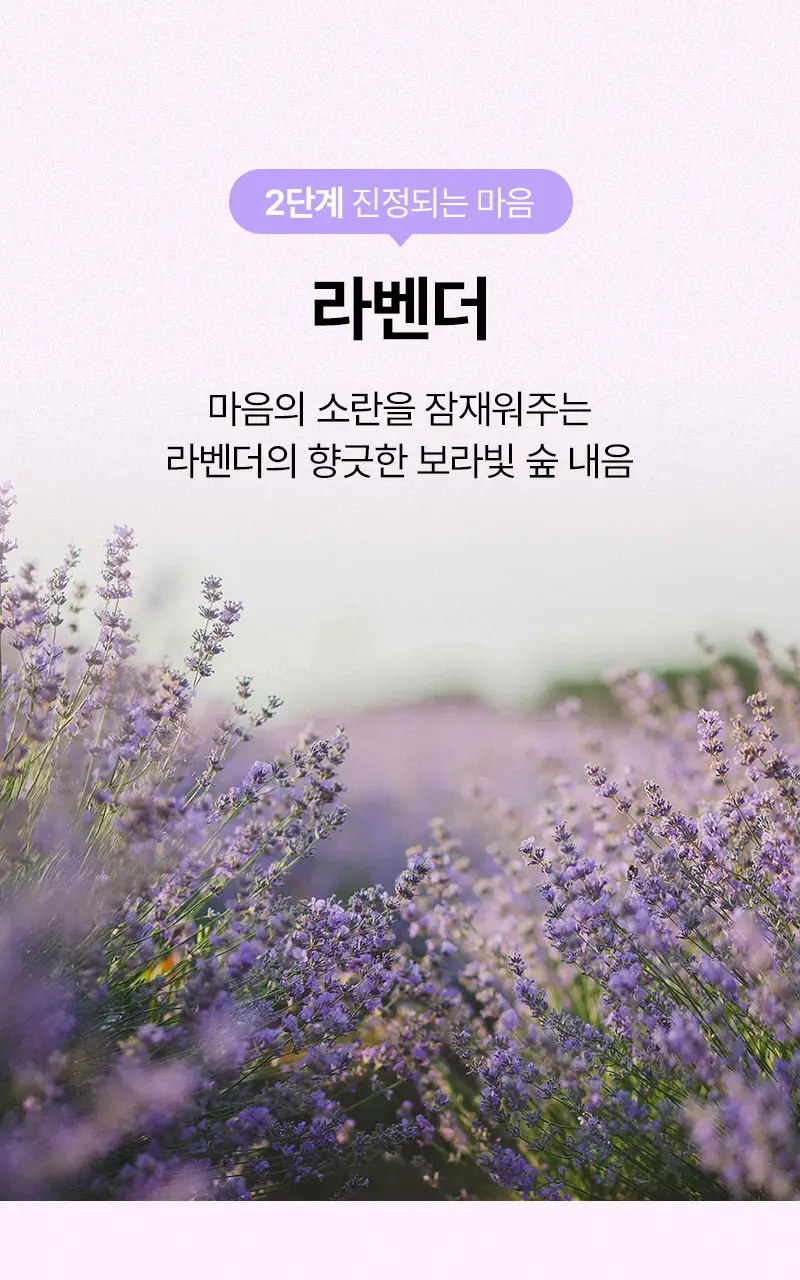 오다다 퍼플문티 24개입 상세페이지 42