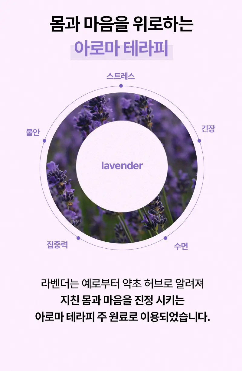 오다다 퍼플문티 24개입 상세페이지 43