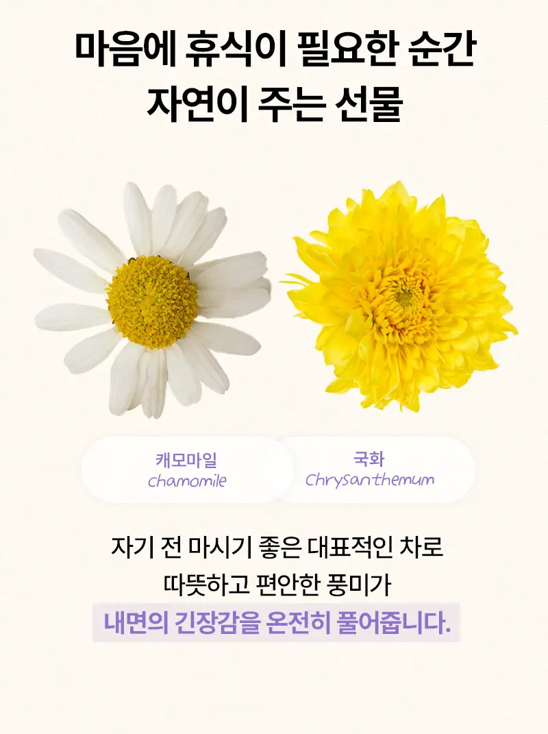 오다다 퍼플문티 24개입 상세페이지 45