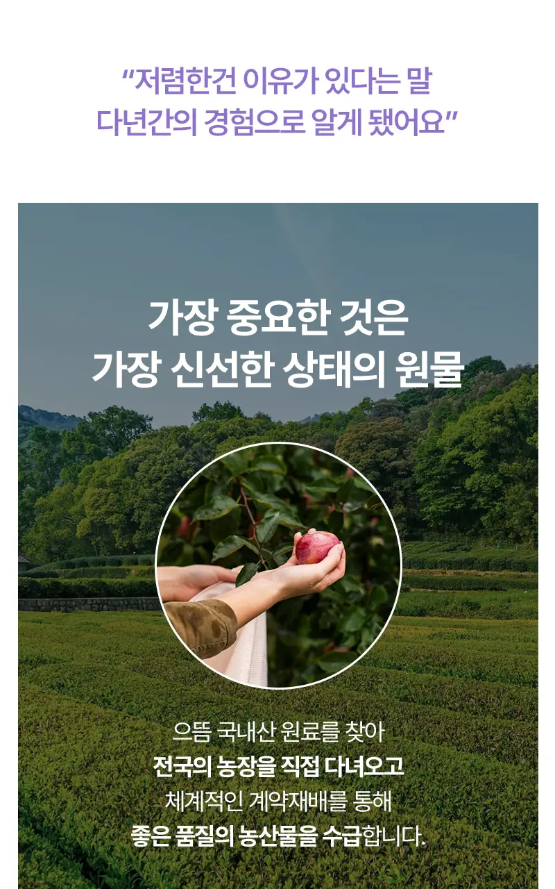 오다다 퍼플문티 24개입 상세페이지 70