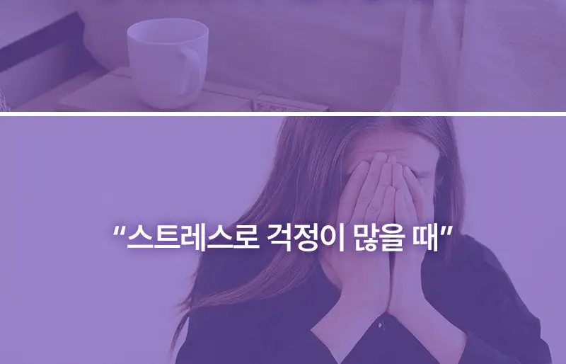 오다다 퍼플문티 24개입 상세페이지 76