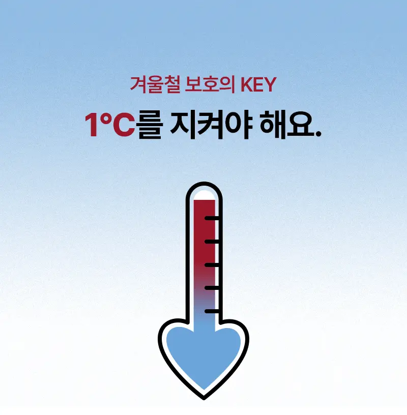 오다다 하트웜티 24개입 상세페이지 28
