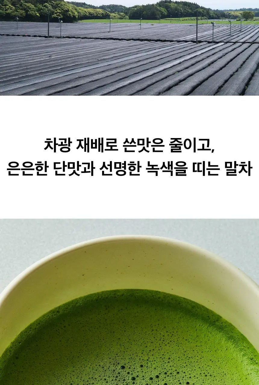 오설록 말차리추얼 3종세트 (프리미엄 말차/전동 차선/미니 유리잔) 상세페이지 2