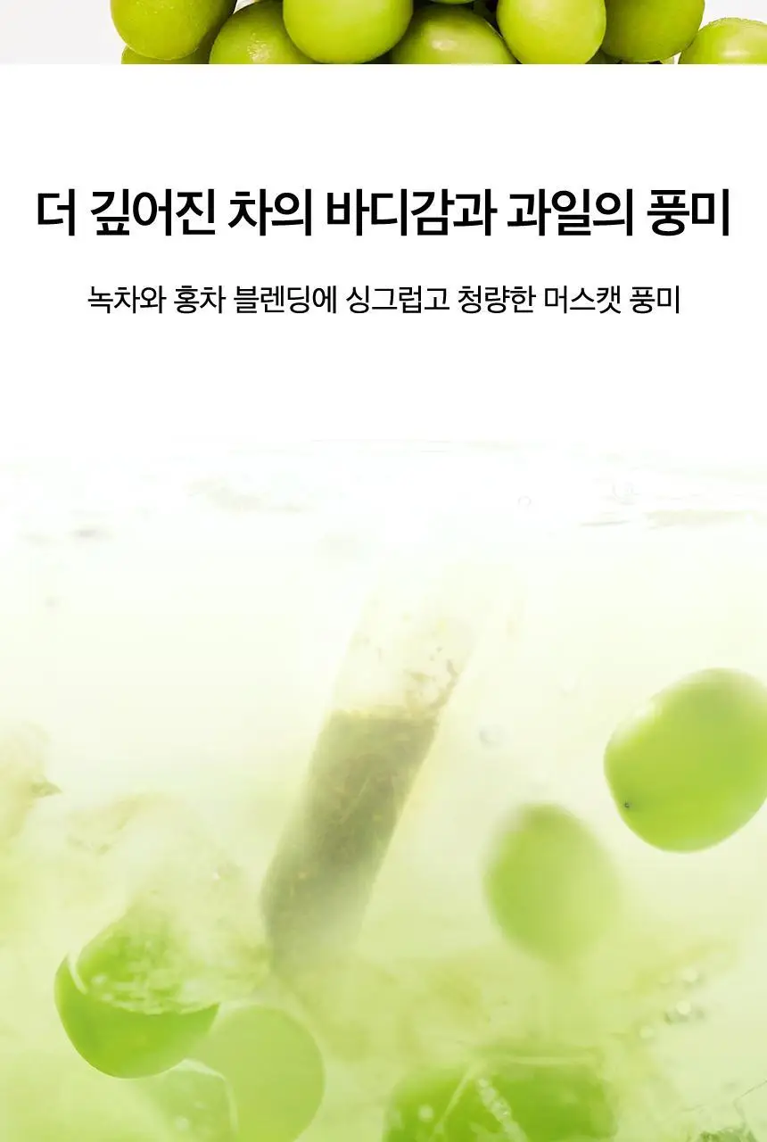 오설록 선샤인 머스캣 콜드브루 티 20입 상세페이지 5