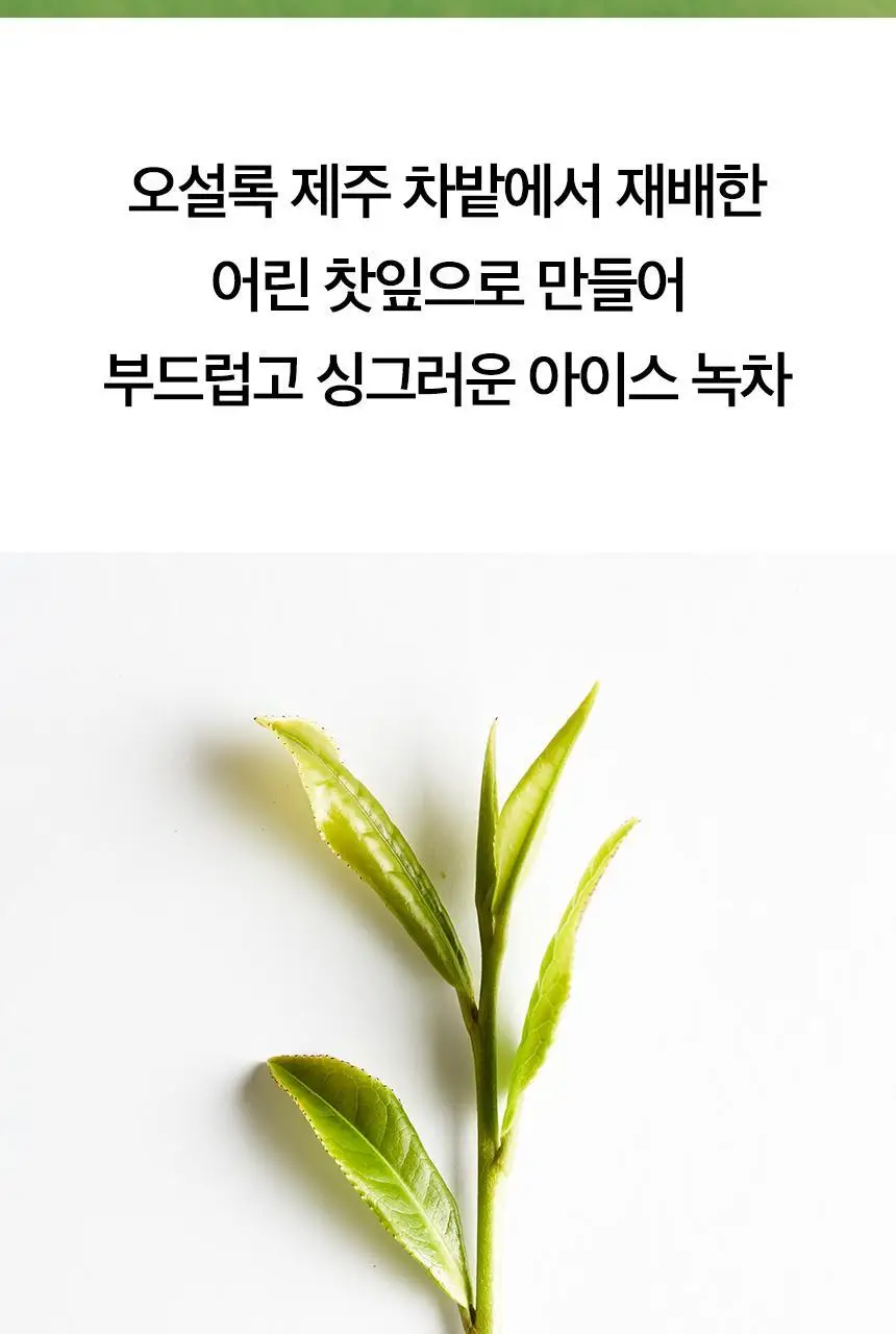 오설록 찬물 2종 택 1 상세페이지 5
