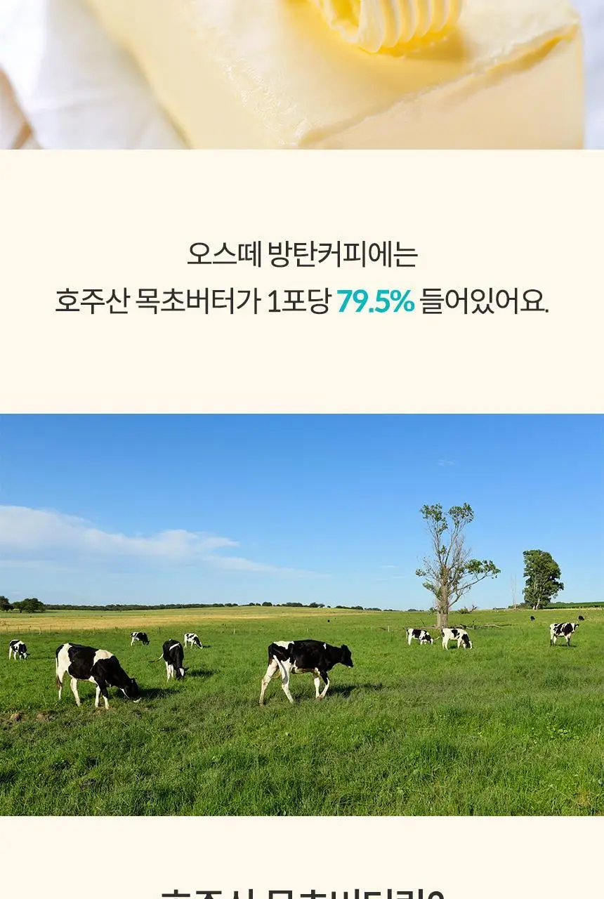 오스떼 방탄커피 에스프레소 10포 상세페이지 33