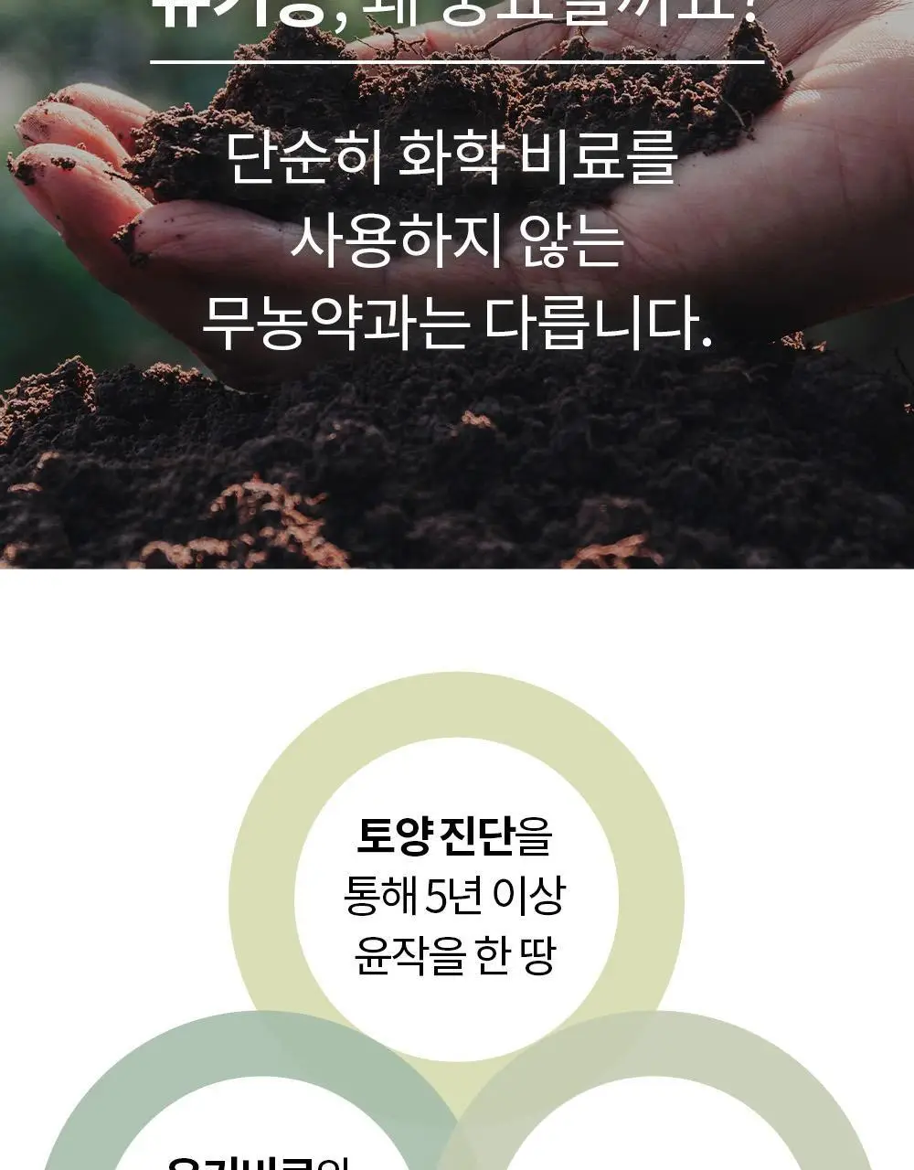 유기농 로쎄 홍차 티백 1.5g 20개입 그랜드 얼그레이 상세페이지 11