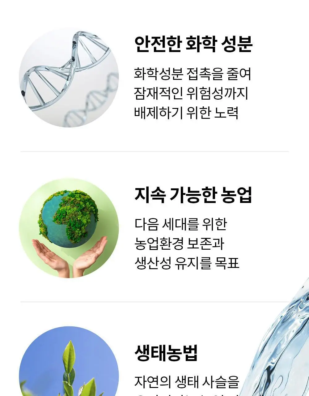 유기농 로쎄 홍차 티백 1.5g 20개입 그랜드 얼그레이 상세페이지 13