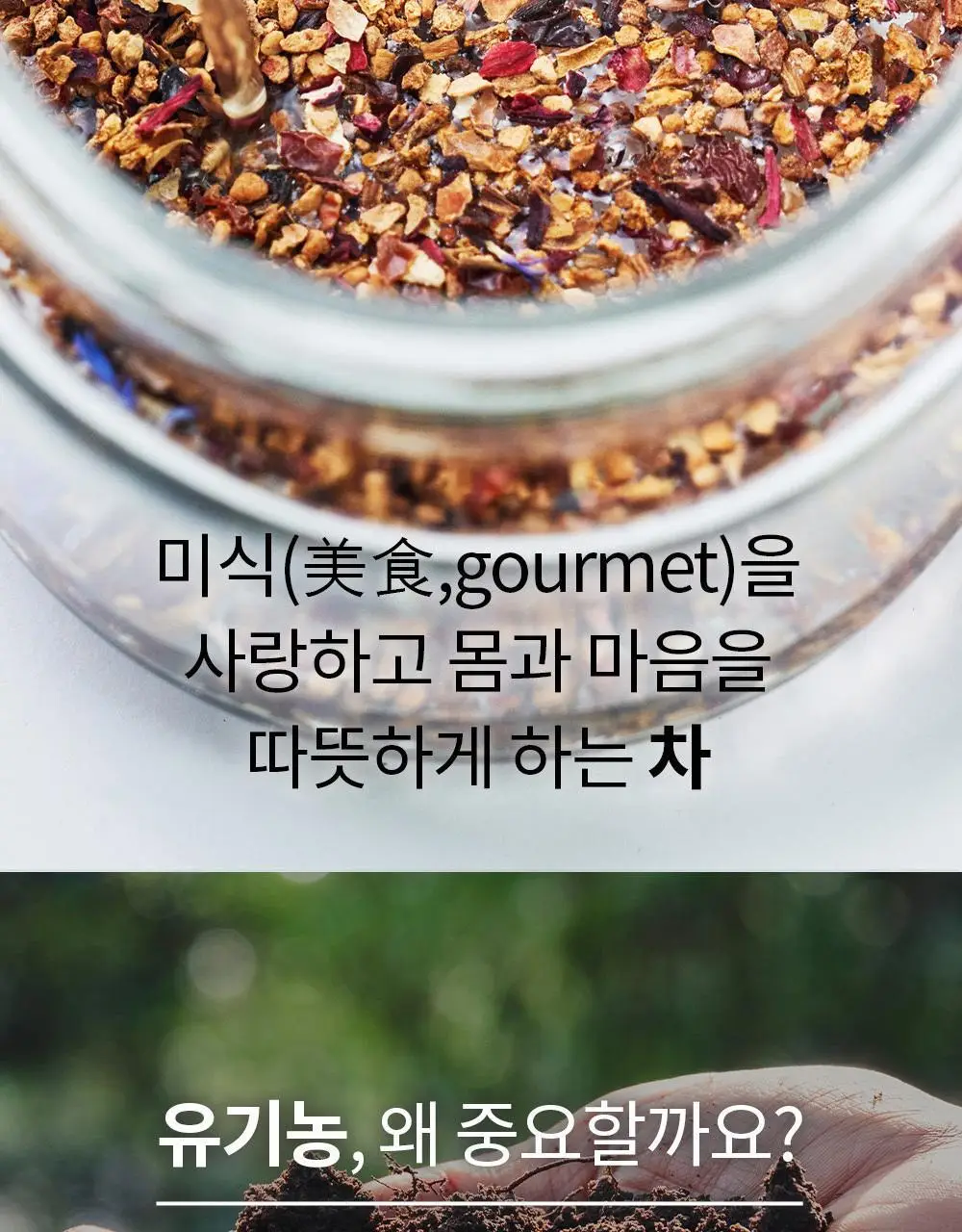 유기농 로쎄 홍차 티백 1.5g 20개입 블루베리 픽 상세페이지 10