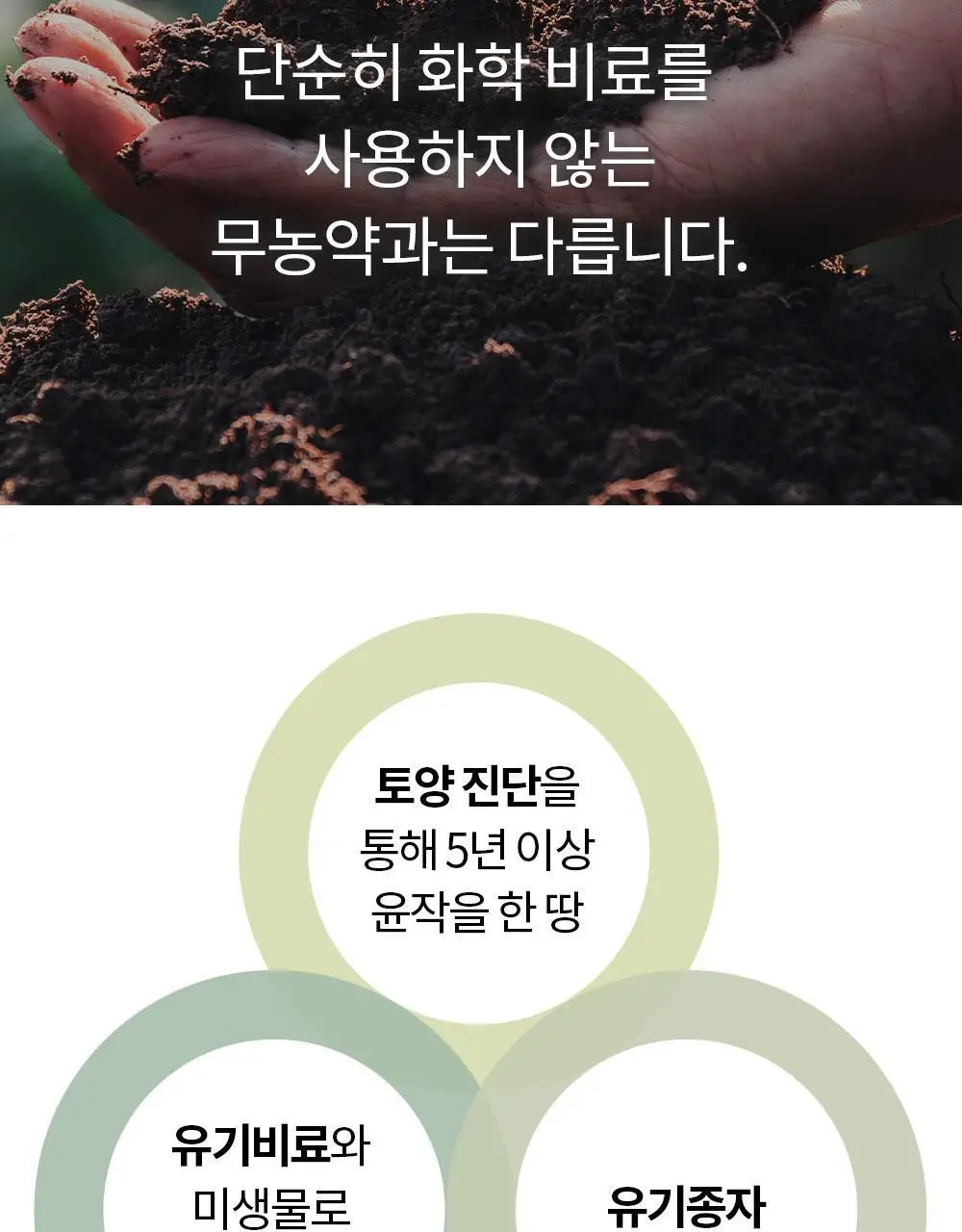 유기농 로쎄 홍차 티백 1.5g 20개입 블루베리 픽 상세페이지 11