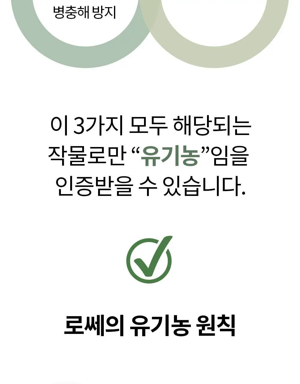 유기농 로쎄 홍차 티백 1.5g 20개입 블루베리 픽 상세페이지 12