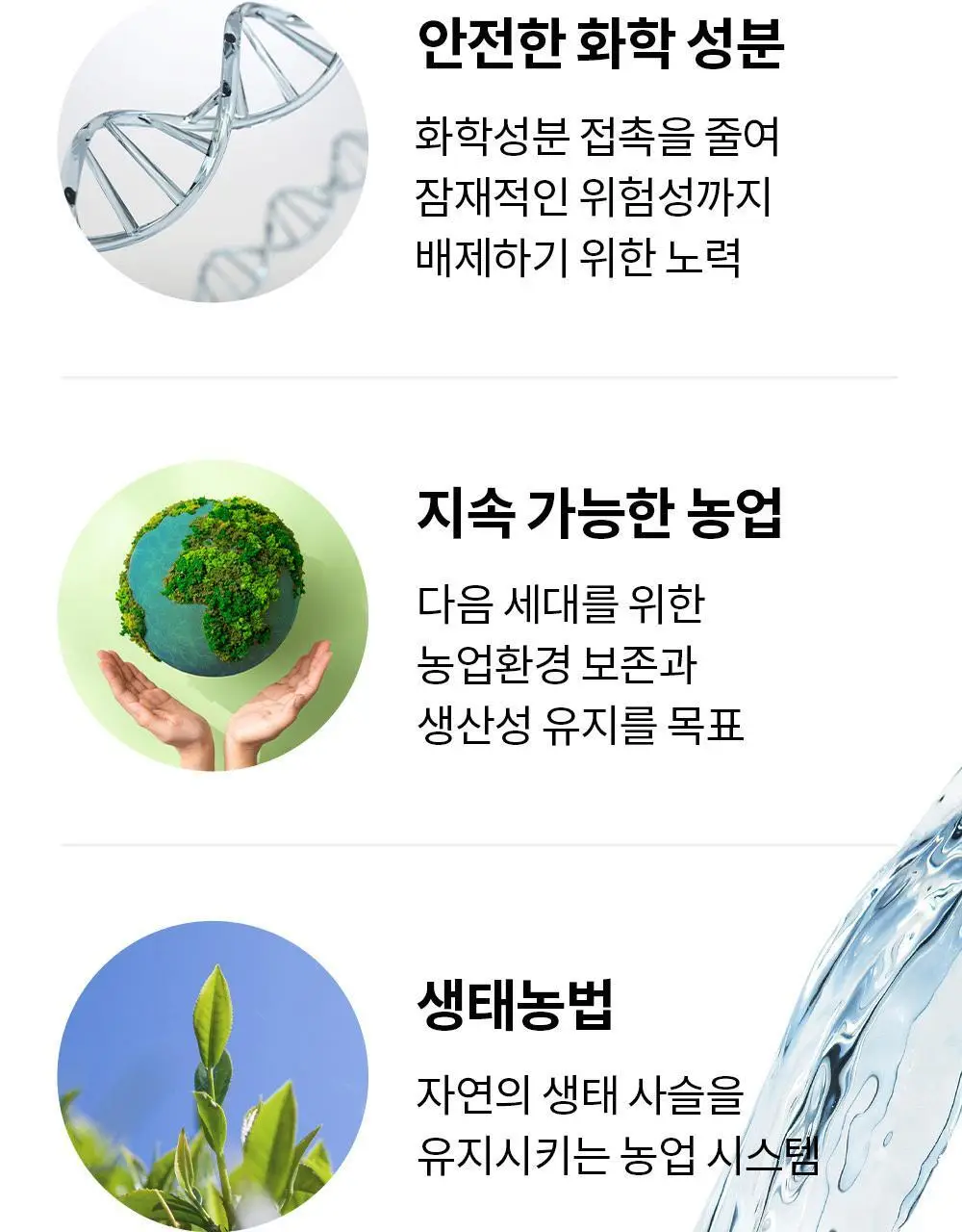 유기농 로쎄 홍차 티백 1.5g 20개입 블루베리 픽 상세페이지 13