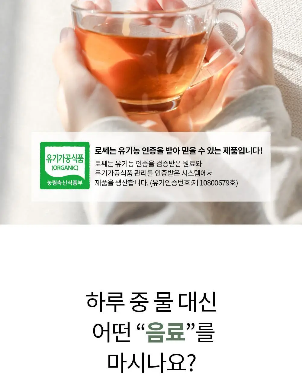 유기농 로쎄 홍차 티백 1.5g 20개입 호지티 상세페이지 6