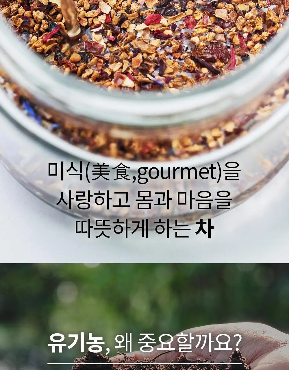 유기농 로쎄 홍차 티백 1.5g 20개입 호지티 상세페이지 10