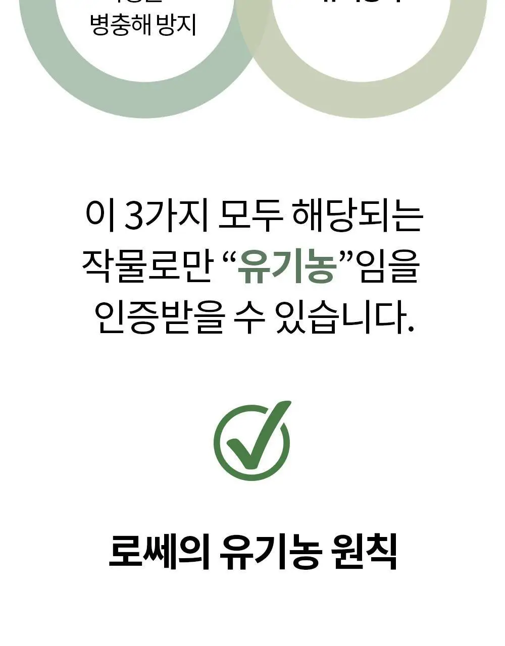 유기농 로쎄 홍차 티백 1.5g 20개입 호지티 상세페이지 12