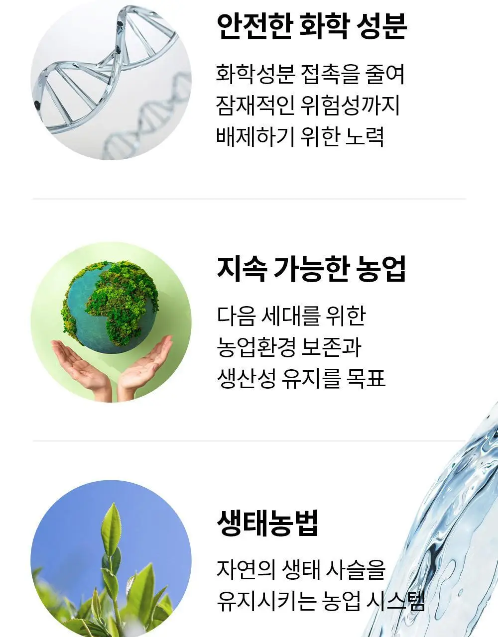 유기농 로쎄 홍차 티백 1.5g 20개입 호지티 상세페이지 13