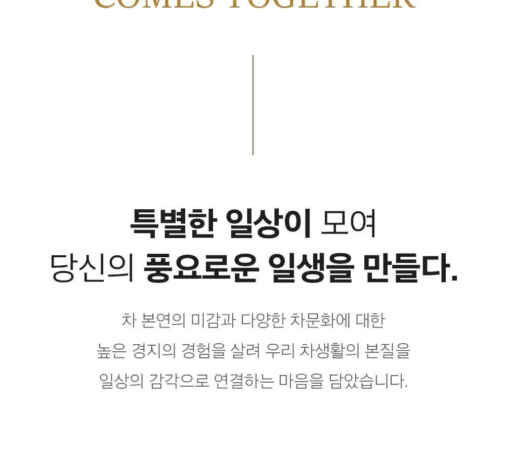 일상다완 산야차 컬렉션 상세페이지 2