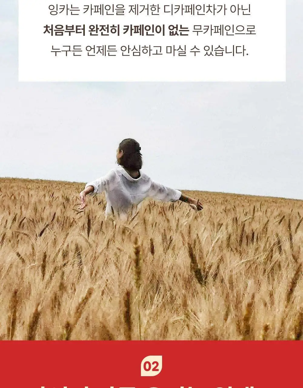 잉카 유기농 차 100g 2종 택 1 상세페이지 8