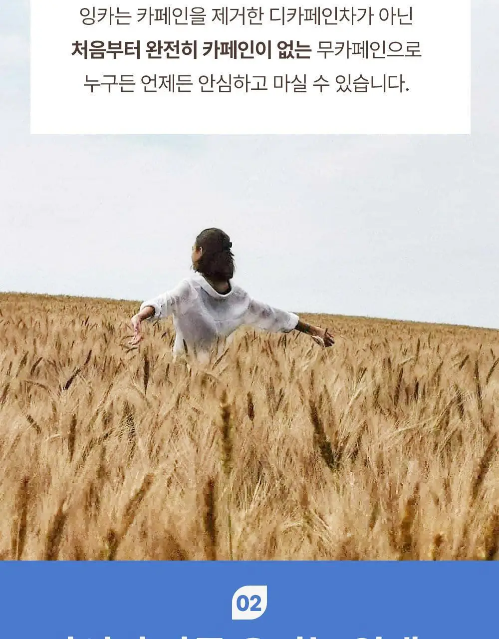 잉카 유기농 차 100g 2종 택 1 상세페이지 29