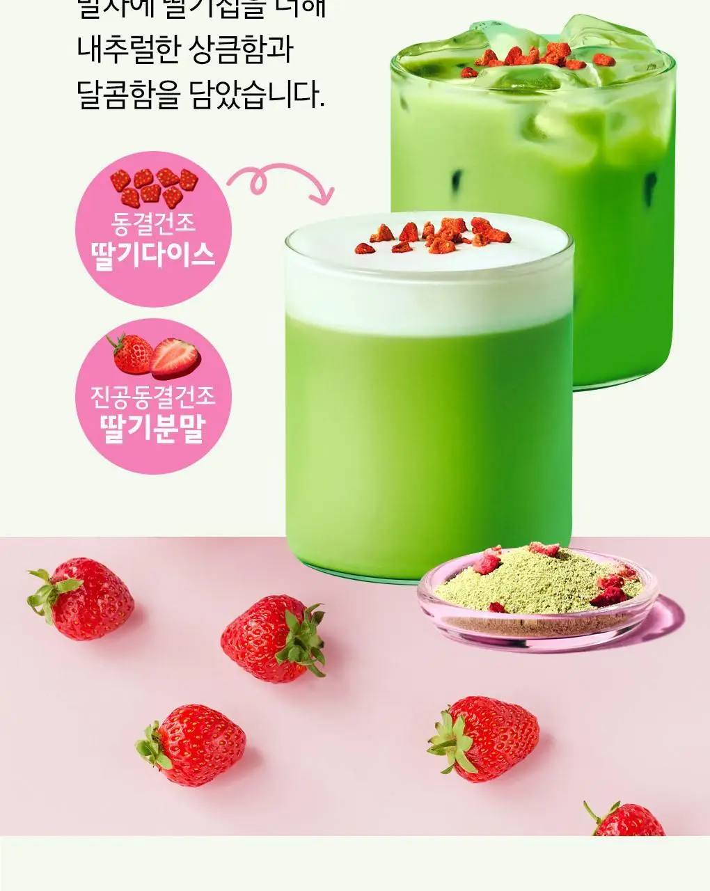 쟈뎅 로스티크 까페모리 말차 딸기라떼 5P 109g 상세페이지 11