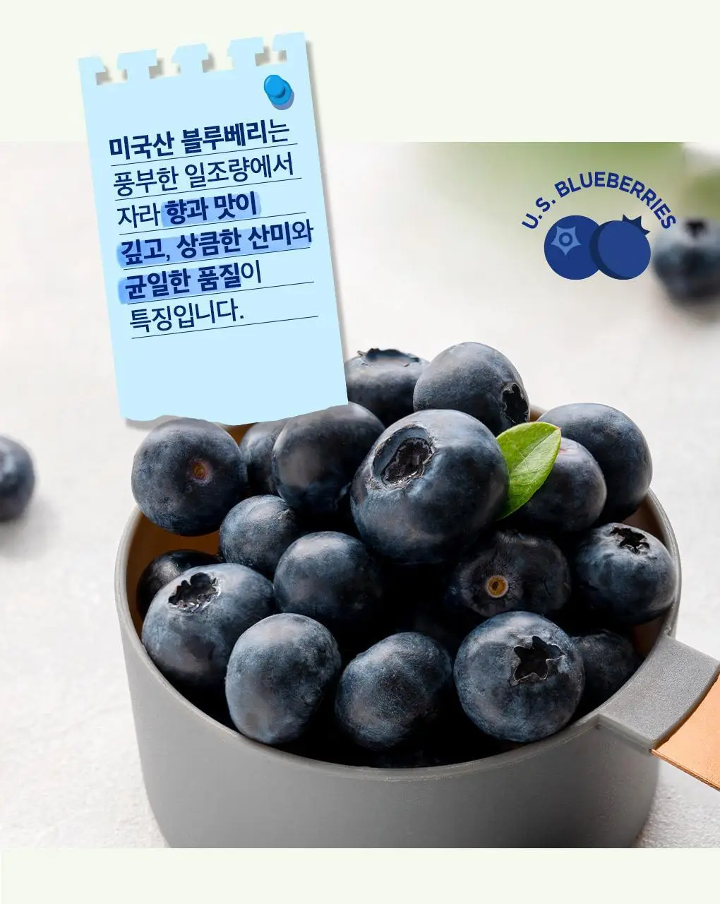 쟈뎅 로스티크 까페모리 말차 블루베리라떼 10P 200g 상세페이지 11
