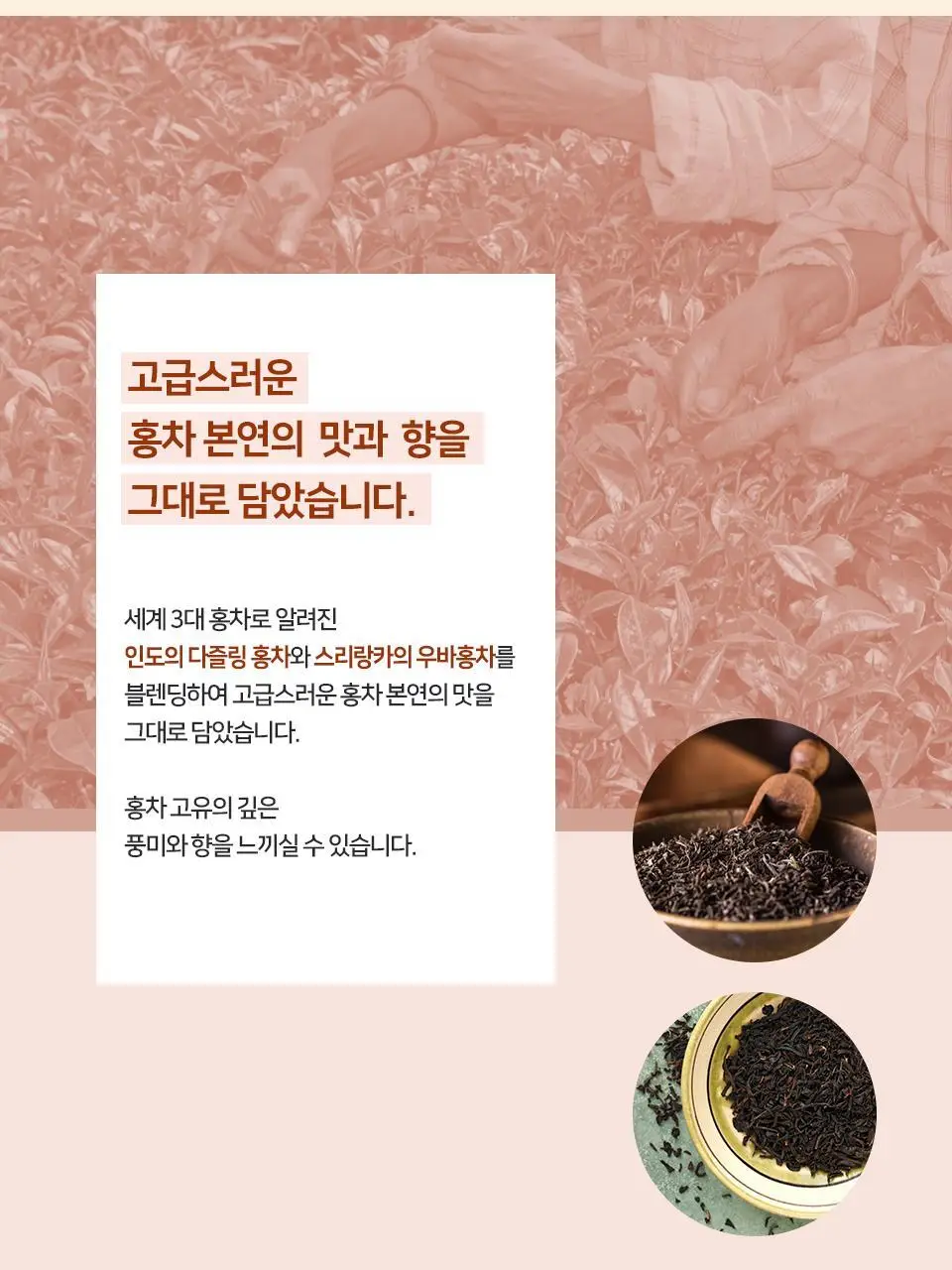 커피빈 파우치 커피 4종 택1 (아메리카노/헤이즐넛/바닐라/잉글리쉬 티라떼) 상세페이지 26