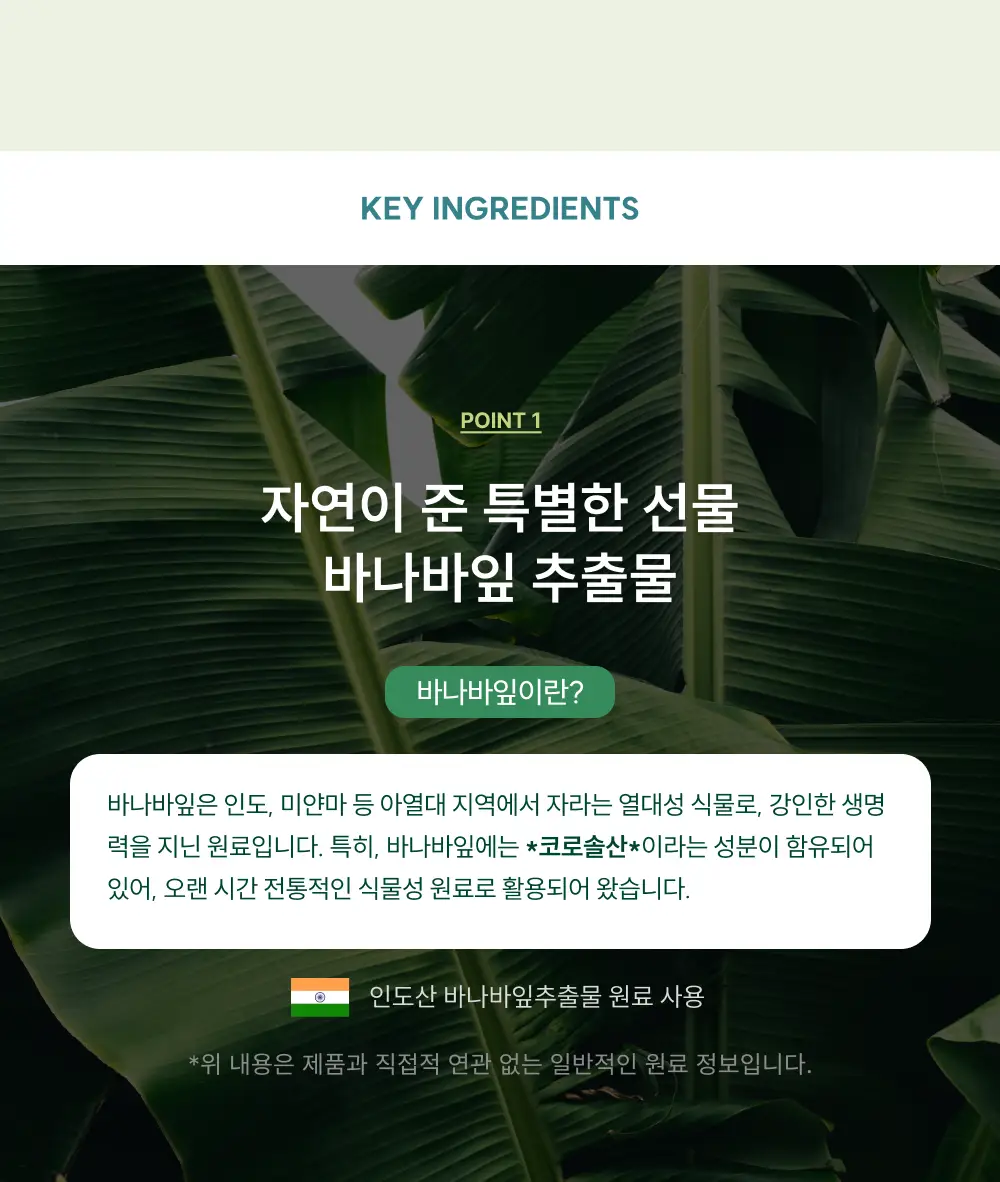 클룹 바나바잎차 500ml 2종 택1 (보리,호지) 상세페이지 5