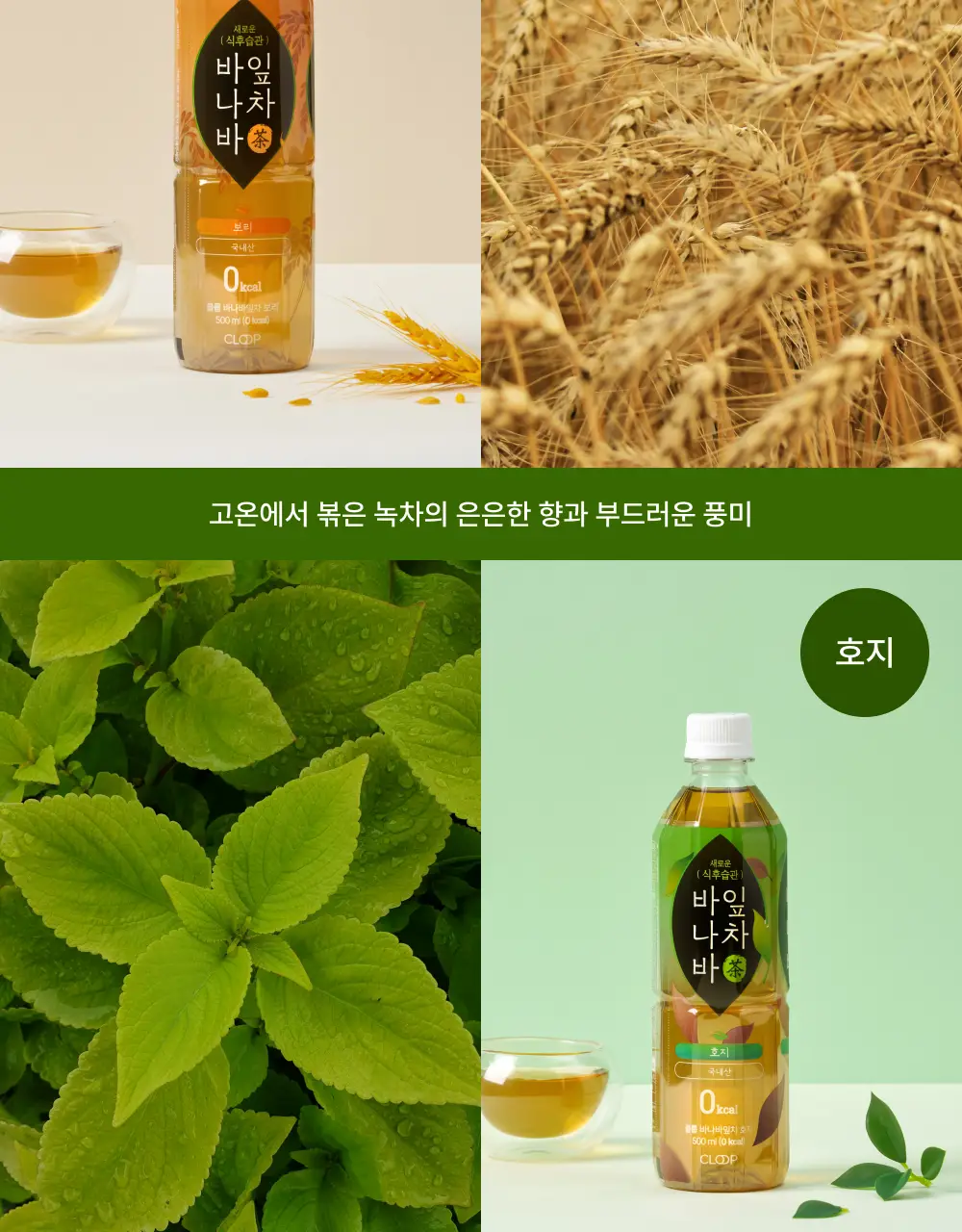 클룹 바나바잎차 500ml 2종 택1 (보리,호지) 상세페이지 7