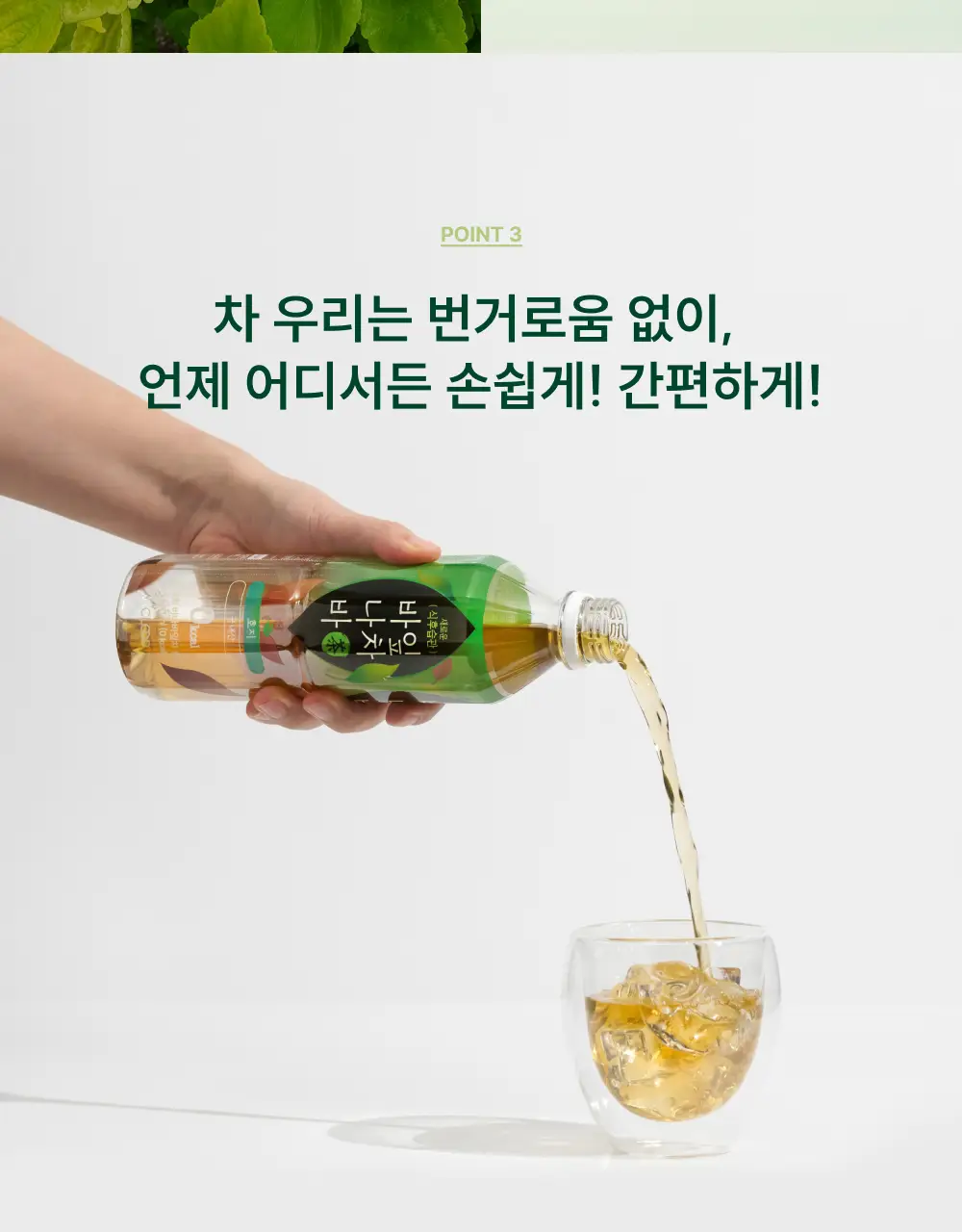 클룹 바나바잎차 500ml 2종 택1 (보리,호지) 상세페이지 8