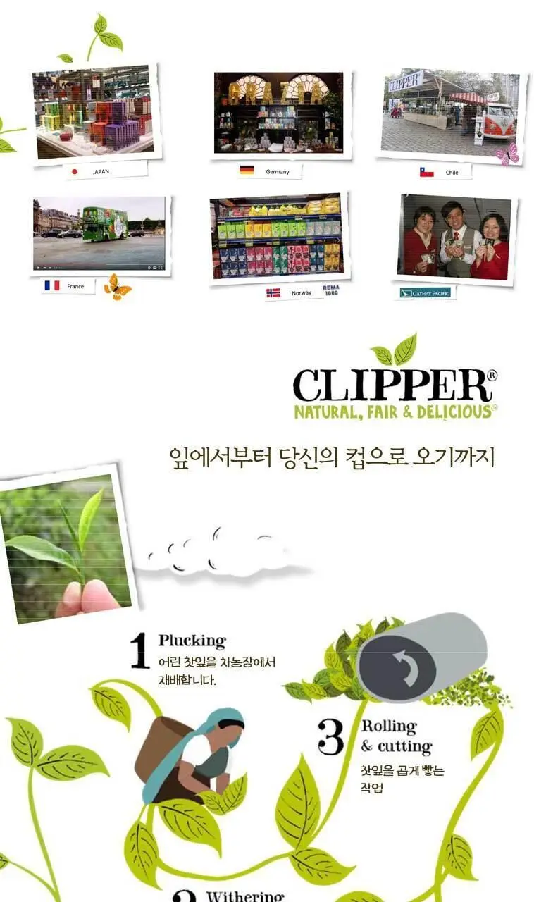 클리퍼 유기농 티백 1.5g 20개입 스노어 앤 피스 상세페이지 5