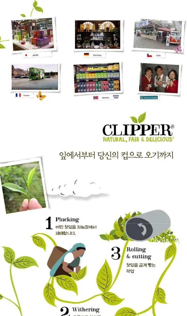 클리퍼 유기농 티백 1.5g 20개입 카모마일 상세페이지 5