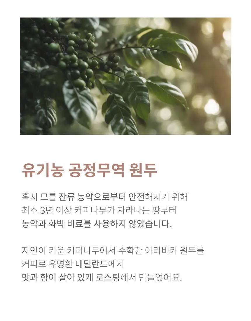 키토핏 방탄커피 오리지널 14포 상세페이지 29